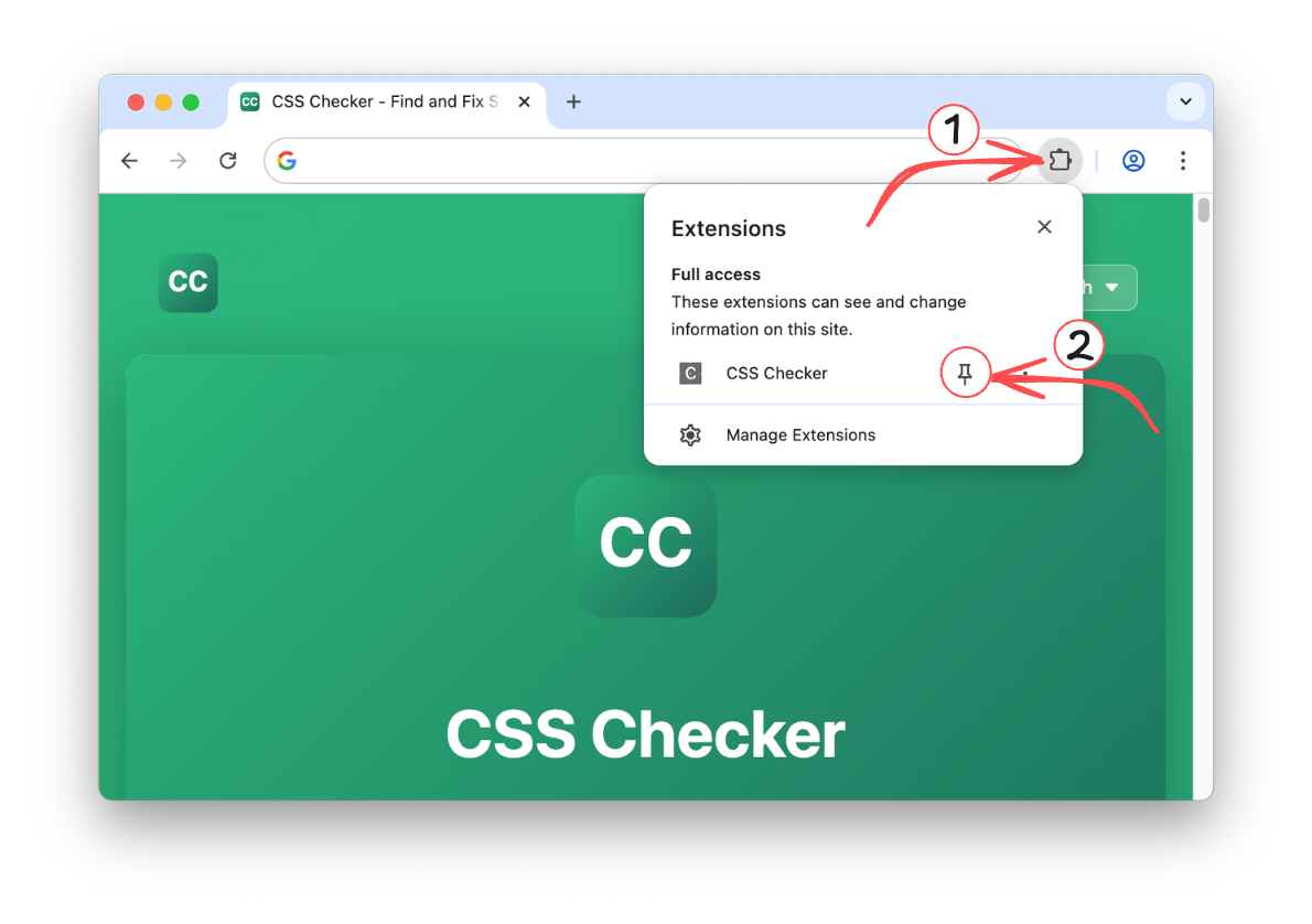 Opening the CSS Checker side panel